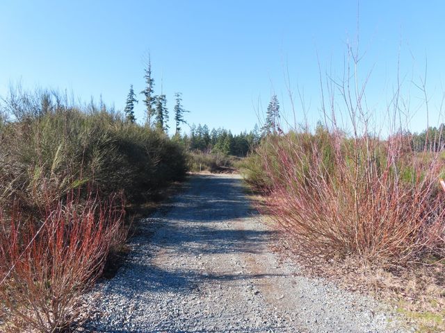 2906 357th Street E, Eatonville, WA 98328