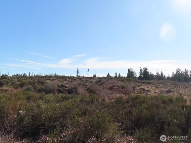 2906 357th Street E, Eatonville, WA 98328