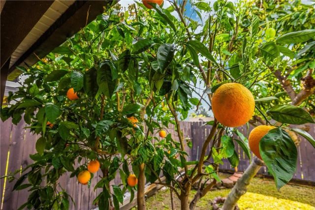 8575 Richwood, Rancho Cucamonga, CA 91730