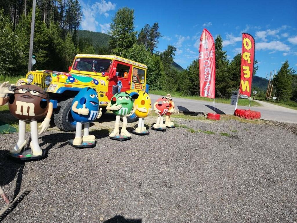 207 Big Creek Road, Haugan, MT 59842 photo 49