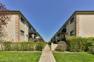 5113 N East River Road 1K, Chicago, IL 60656