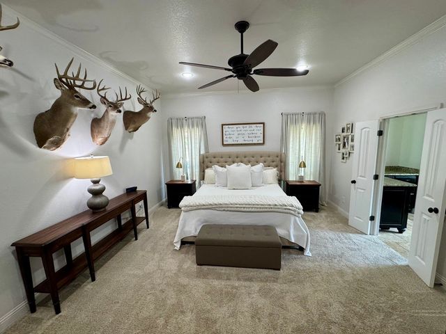 570 S Sugartree Drive, Lipan, TX 76462