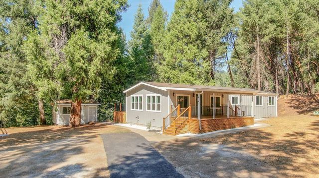 16320 Pioneer Creek Rd, Pioneer, CA 95666