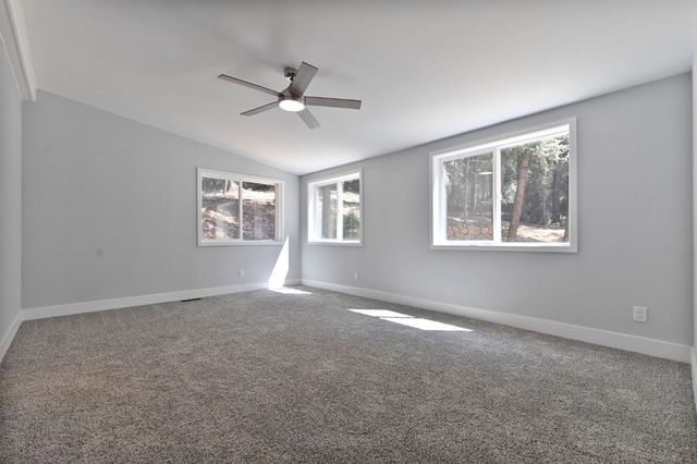 16320 Pioneer Creek Rd, Pioneer, CA 95666