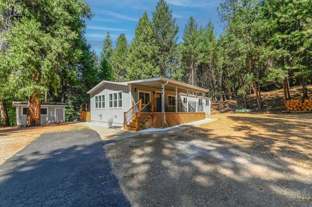 16320 Pioneer Creek Rd, Pioneer, CA 95666