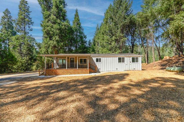 16320 Pioneer Creek Rd, Pioneer, CA 95666