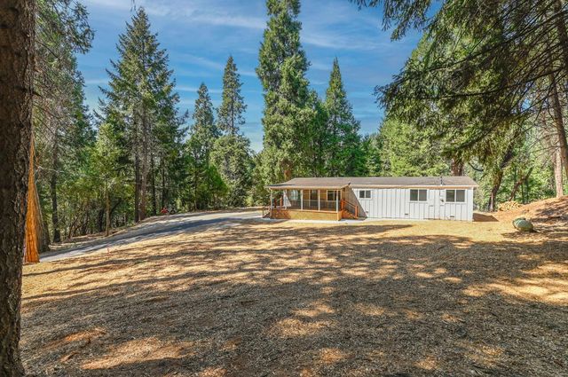 16320 Pioneer Creek Rd, Pioneer, CA 95666