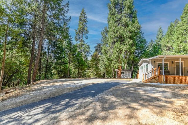 16320 Pioneer Creek Rd, Pioneer, CA 95666