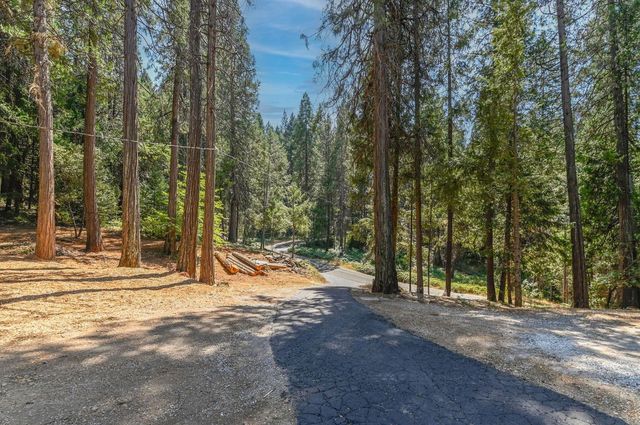 16320 Pioneer Creek Rd, Pioneer, CA 95666