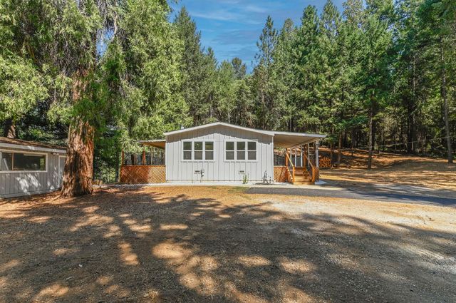16320 Pioneer Creek Rd, Pioneer, CA 95666