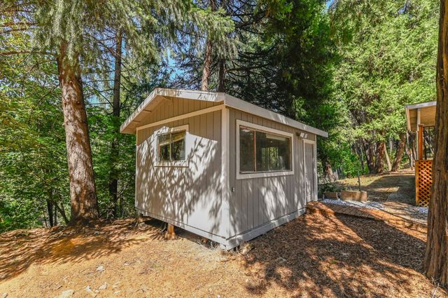 16320 Pioneer Creek Rd, Pioneer, CA 95666