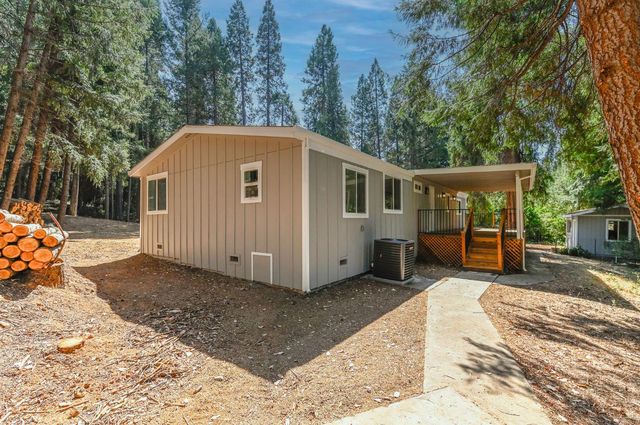 16320 Pioneer Creek Rd, Pioneer, CA 95666