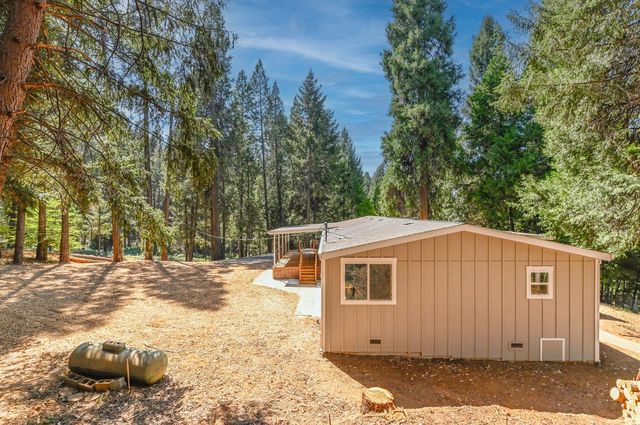 16320 Pioneer Creek Rd, Pioneer, CA 95666