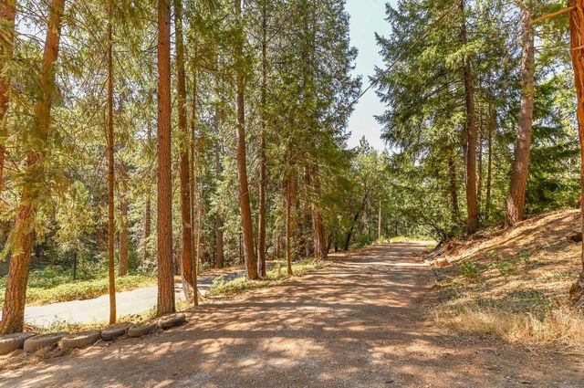 16320 Pioneer Creek Rd, Pioneer, CA 95666