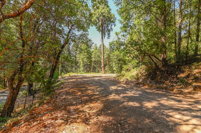 16320 Pioneer Creek Rd, Pioneer, CA 95666