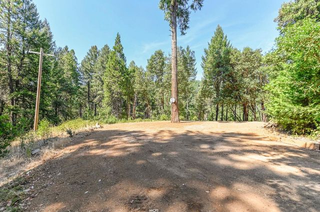 16320 Pioneer Creek Rd, Pioneer, CA 95666