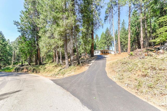 16320 Pioneer Creek Rd, Pioneer, CA 95666