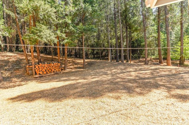 16320 Pioneer Creek Rd, Pioneer, CA 95666