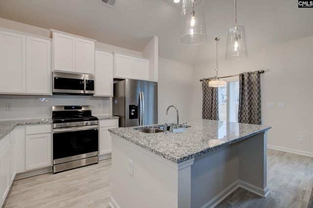 33 Harvest Glen Drive, Elgin, SC 29045
