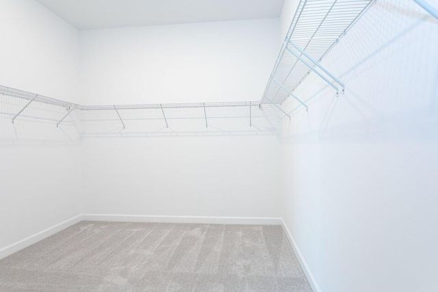 1132 Haywagon Trail, Loxahatchee, FL 33470