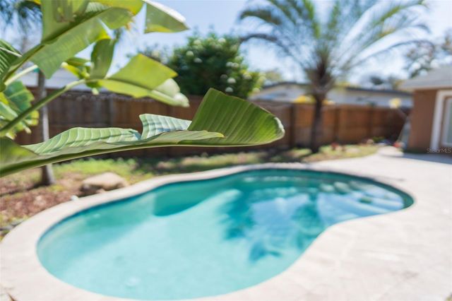 619 GARLAND STREET N, St Petersburg, FL 33703