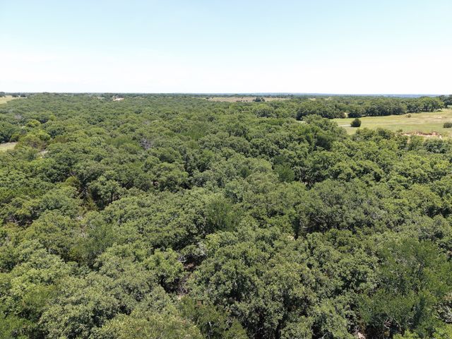 TBD TURKEY Court, Perrin, TX 76449