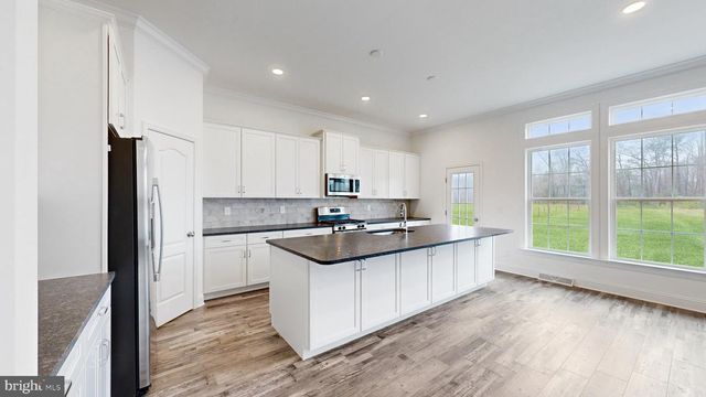 00001 BIRCHWOOD LN, Milton, DE 19968