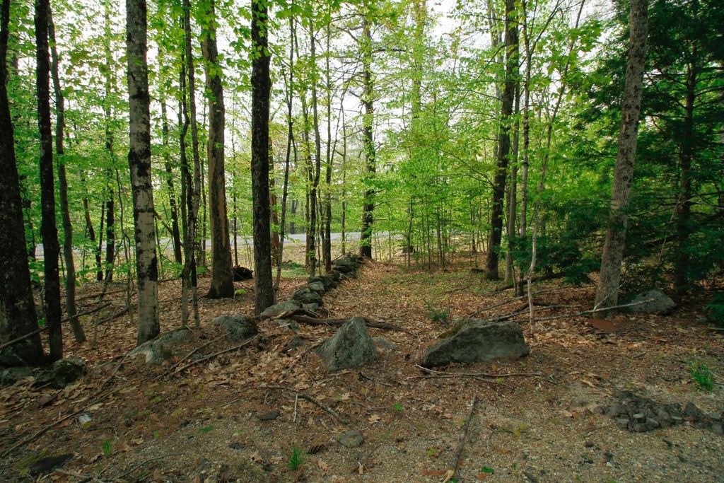 224 Lot 20 Elijah Beede Road, Sandwich, NH 03883