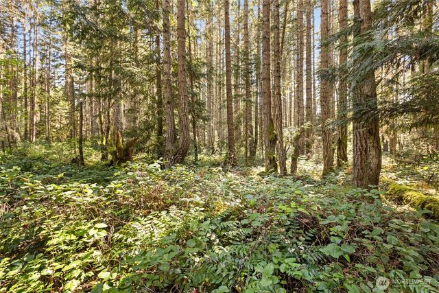 516 Gellor Road, Port Angeles, WA 98362