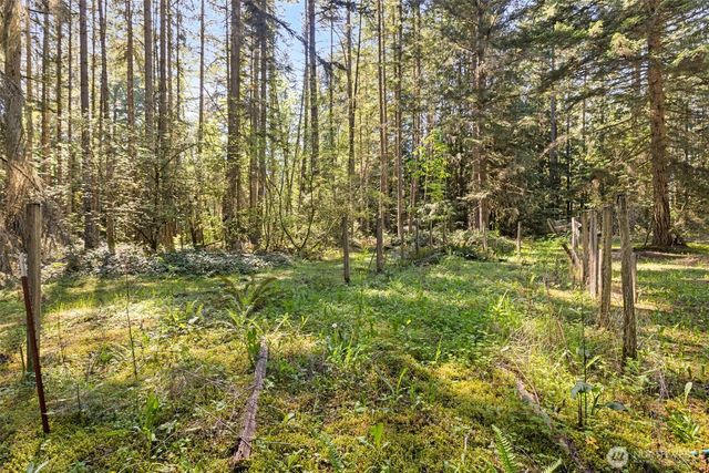 516 Gellor Road, Port Angeles, WA 98362