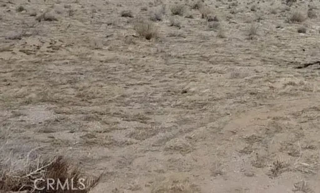 0 Hollywood, 29 Palms, CA 92277