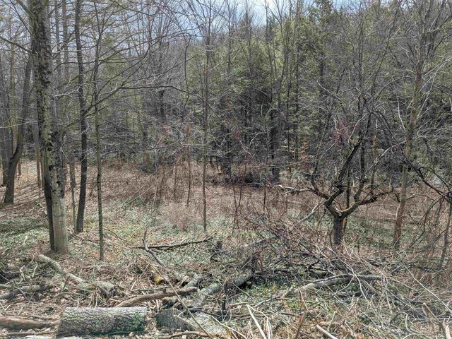 374 Burton Highway, Wilton, NH 03086