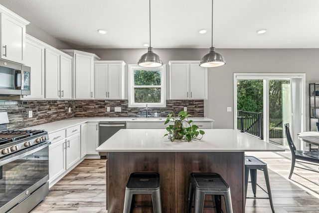 20490 Ginger Court, Lakeville, MN 55044
