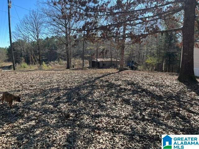 4075 COUNTY ROAD, Haleyville, AL 35565