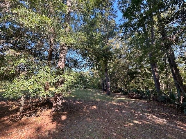 236 Farnsleigh Ave, Bluffton, SC 29910