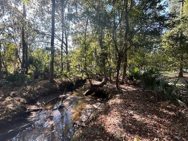 236 Farnsleigh Ave, Bluffton, SC 29910