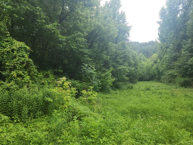 00 Rocky Flats Rd Road, Sevierville, TN 37876