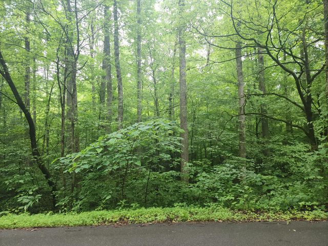 00 Rocky Flats Rd Road, Sevierville, TN 37876