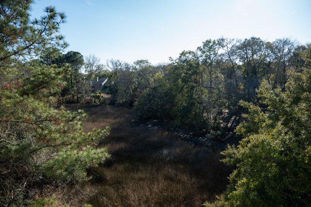 115 Wappoo Landing Circle, Charleston, SC 29412