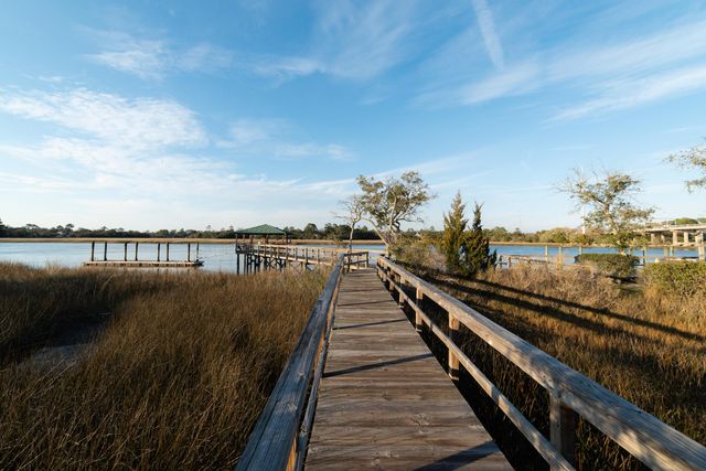 115 Wappoo Landing Circle, Charleston, SC 29412