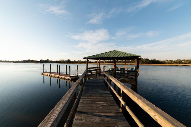 115 Wappoo Landing Circle, Charleston, SC 29412