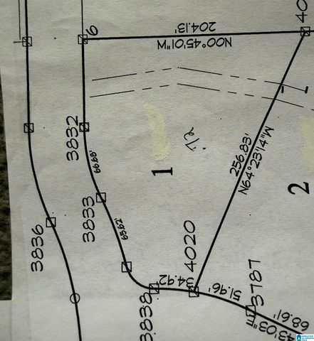 25 OLIVIA LANE, Woodstock, AL 35184