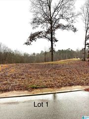 25 OLIVIA LANE, Woodstock, AL 35184