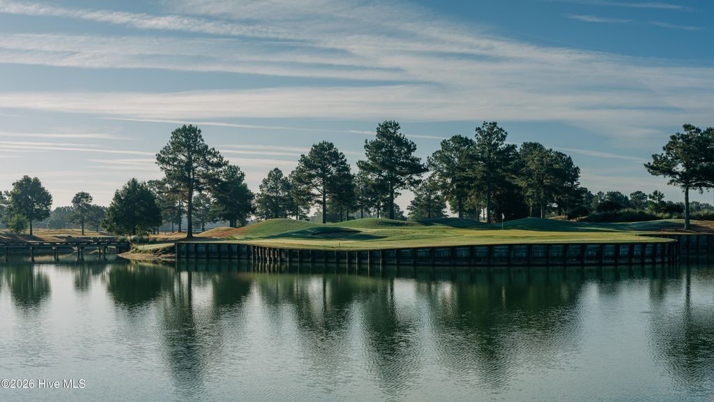 Image 53 of property listing at 99 Pine Tree Point, Snow Hill, NC 28580