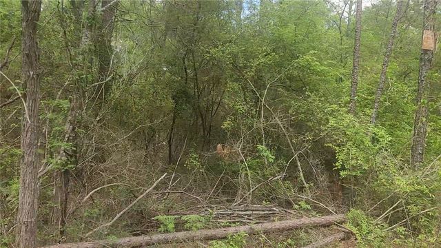 Lot 5 Pin Oak Drive, Plantersville, TX 77363