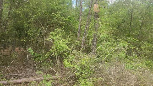 Lot 5 Pin Oak Drive, Plantersville, TX 77363