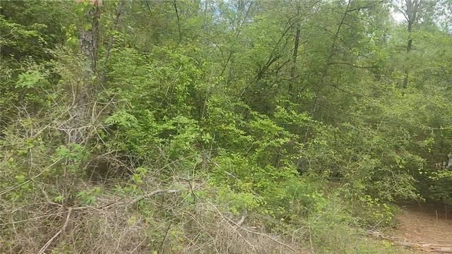 Lot 5 Pin Oak Drive, Plantersville, TX 77363