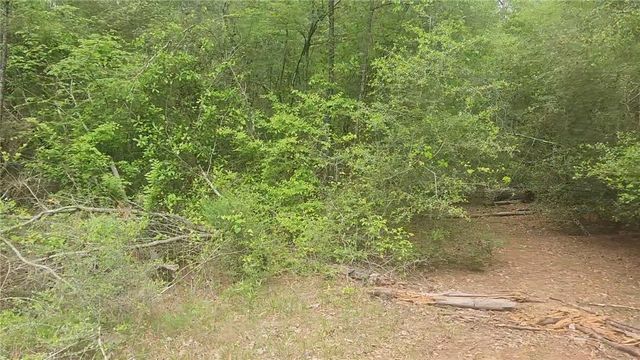 Lot 5 Pin Oak Drive, Plantersville, TX 77363