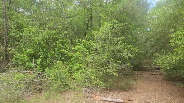 Lot 5 Pin Oak Drive, Plantersville, TX 77363