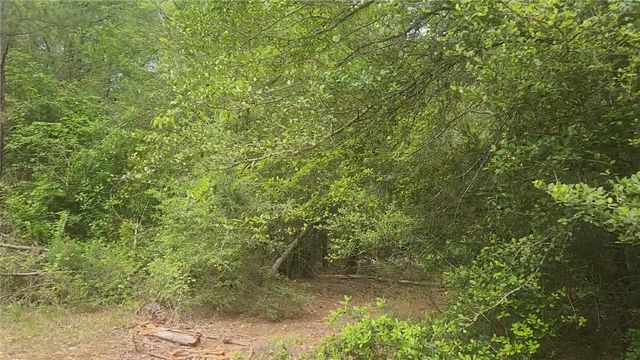 Lot 5 Pin Oak Drive, Plantersville, TX 77363